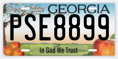 GA license plate PSE8899
