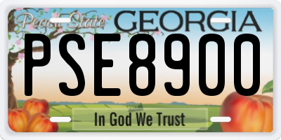 GA license plate PSE8900