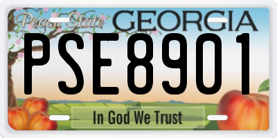 GA license plate PSE8901