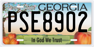 GA license plate PSE8902