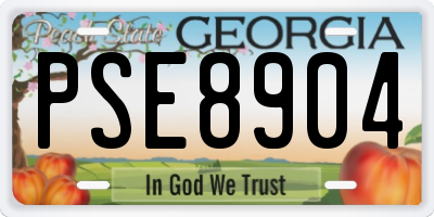 GA license plate PSE8904