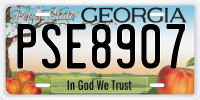 GA license plate PSE8907