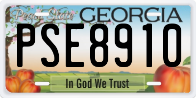 GA license plate PSE8910