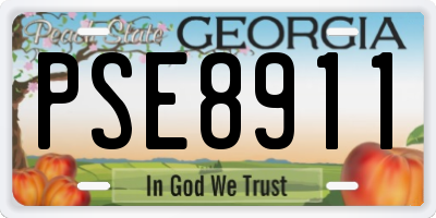 GA license plate PSE8911