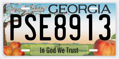 GA license plate PSE8913