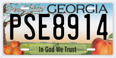 GA license plate PSE8914