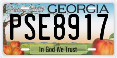 GA license plate PSE8917