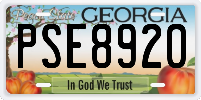 GA license plate PSE8920