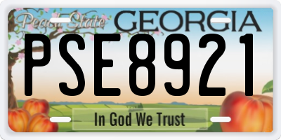 GA license plate PSE8921