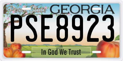GA license plate PSE8923