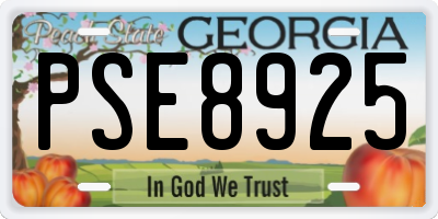 GA license plate PSE8925