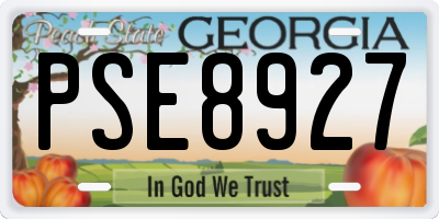 GA license plate PSE8927
