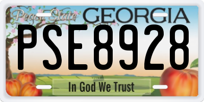 GA license plate PSE8928