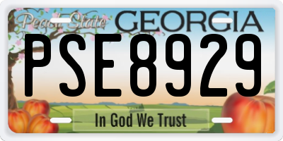GA license plate PSE8929