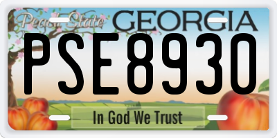 GA license plate PSE8930