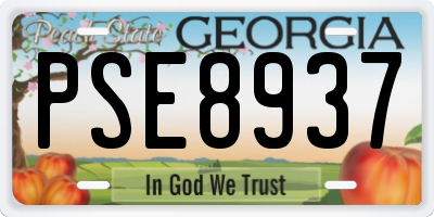GA license plate PSE8937