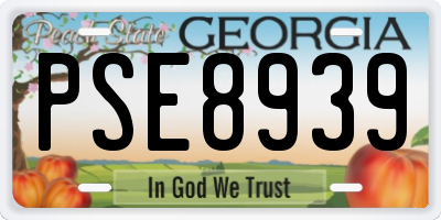 GA license plate PSE8939