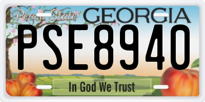 GA license plate PSE8940