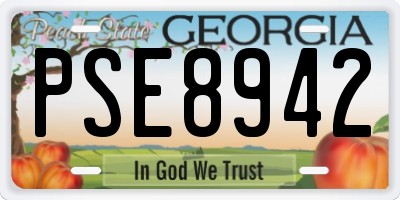 GA license plate PSE8942