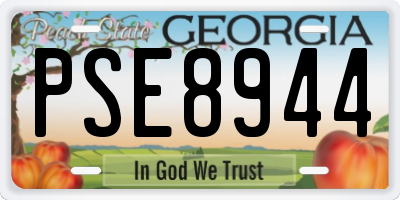 GA license plate PSE8944