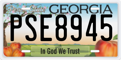 GA license plate PSE8945