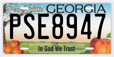 GA license plate PSE8947