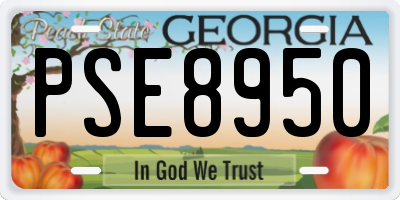 GA license plate PSE8950