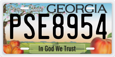 GA license plate PSE8954