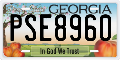 GA license plate PSE8960