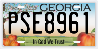 GA license plate PSE8961
