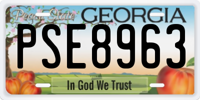GA license plate PSE8963