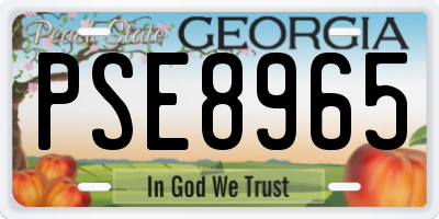 GA license plate PSE8965