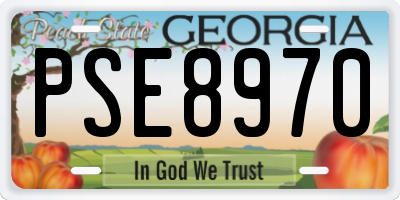 GA license plate PSE8970
