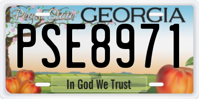 GA license plate PSE8971