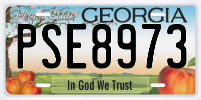 GA license plate PSE8973