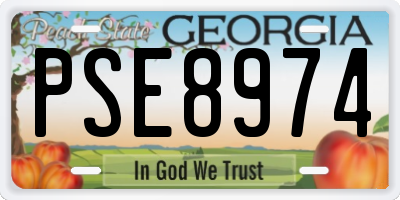 GA license plate PSE8974