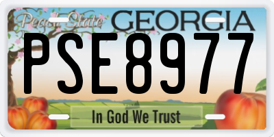 GA license plate PSE8977