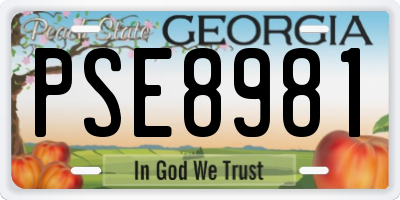 GA license plate PSE8981