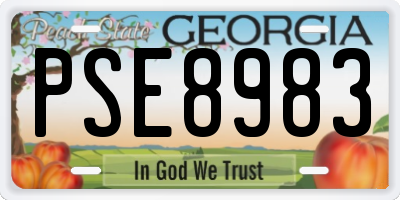 GA license plate PSE8983