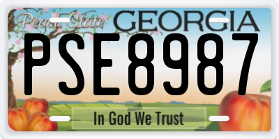 GA license plate PSE8987