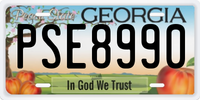 GA license plate PSE8990