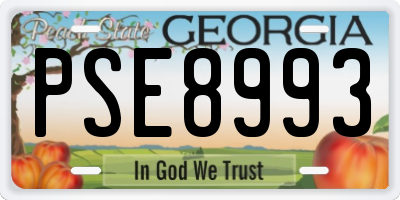 GA license plate PSE8993