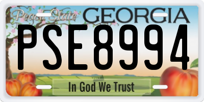 GA license plate PSE8994