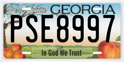 GA license plate PSE8997