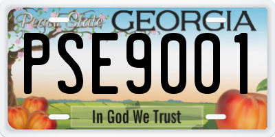 GA license plate PSE9001