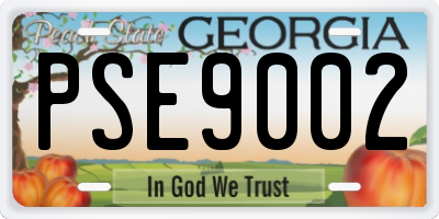GA license plate PSE9002