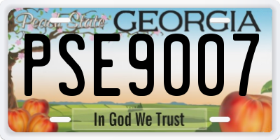GA license plate PSE9007
