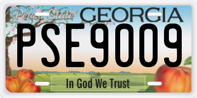 GA license plate PSE9009