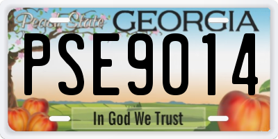 GA license plate PSE9014