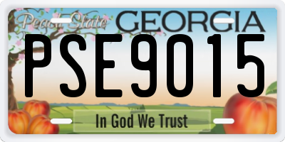 GA license plate PSE9015